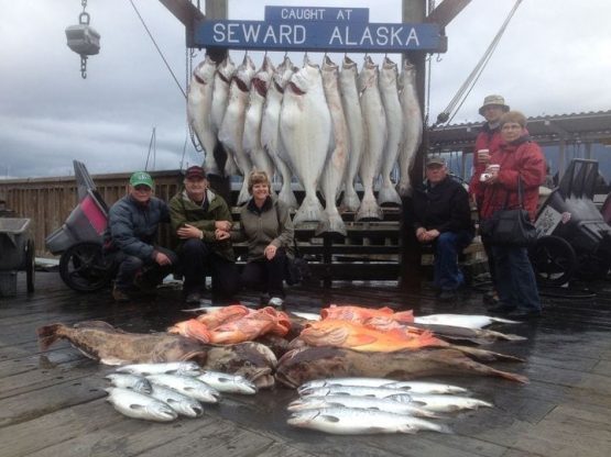 Great mix bag of big halibut, giant lings and yellow eyes an...