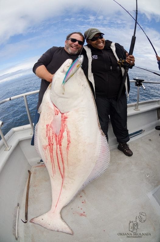 Nice big halibut caught last week on a giant swim bait !!...