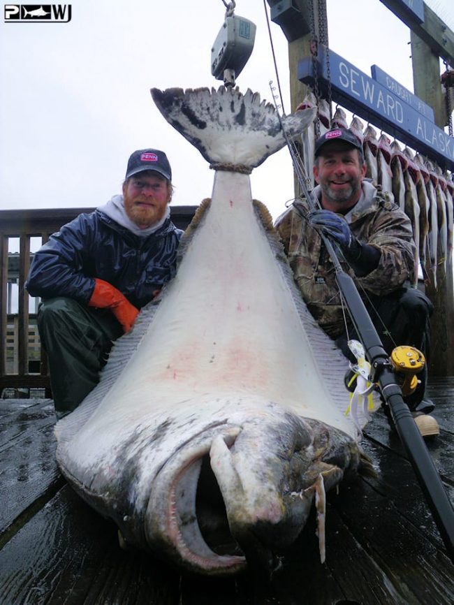 The Waterman's Journal - Global Sportfishing News, Reports, and More...