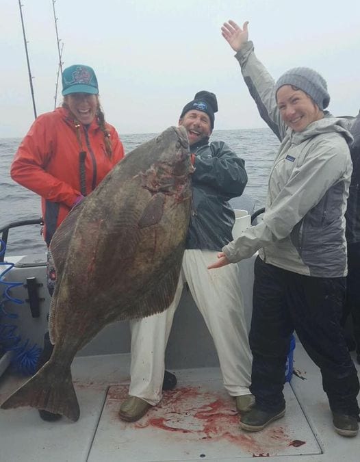 We don't catch halibut on our salmon boat Gray Light often, ...