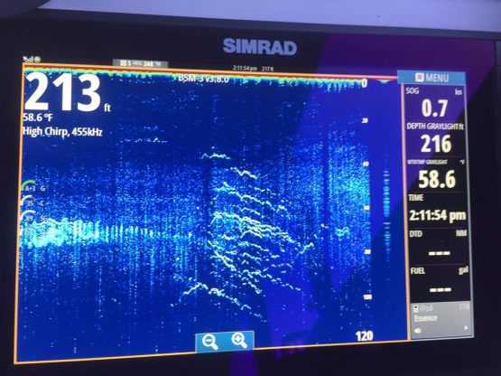When your sonar looks like this at 2:11 in the afternoon, yo...